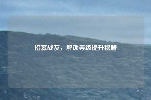 招募战友，解锁等级提升秘籍