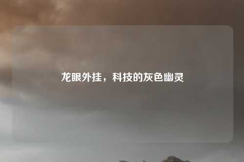 龙眼外挂，科技的灰色幽灵