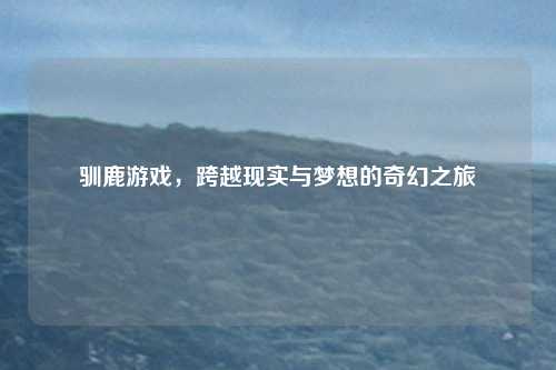 驯鹿游戏,跨越现实与梦想的奇幻之旅