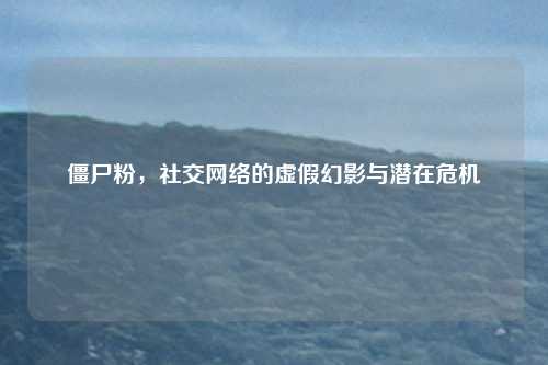 僵尸粉，社交网络的虚假幻影与潜在危机