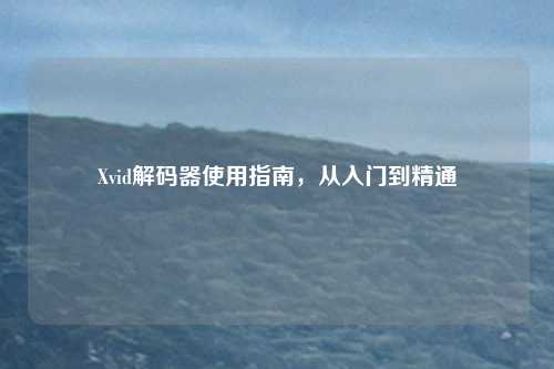 Xvid解码器使用指南，从入门到精通