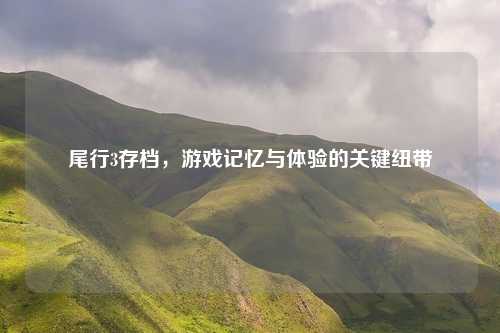 尾行3存档，游戏记忆与体验的关键纽带