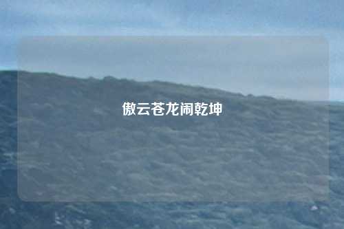 傲云苍龙闹乾坤