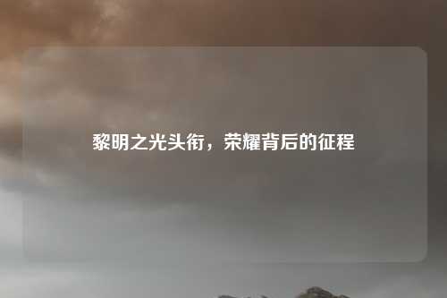 黎明之光头衔，荣耀背后的征程