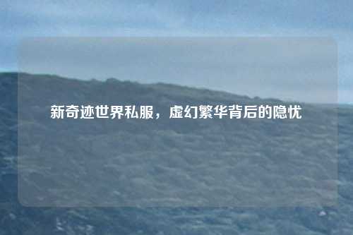 新奇迹世界私服，虚幻繁华背后的隐忧