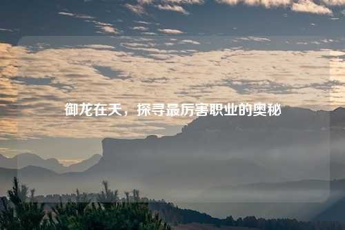 御龙在天,探寻最厉害职业的奥秘