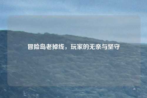 冒险岛老掉线，玩家的无奈与坚守