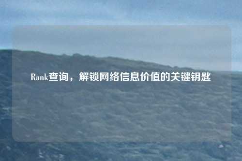 Rank查询，解锁网络信息价值的关键钥匙