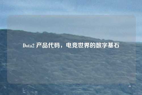Dota2 产品代码，电竞世界的数字基石