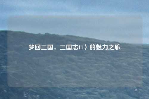 梦回三国，三国志11〉的魅力之旅