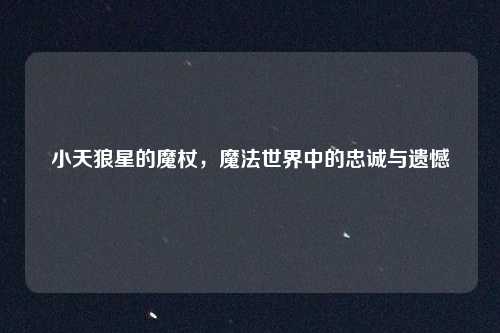 小天狼星的魔杖,魔法世界中的忠诚与遗憾