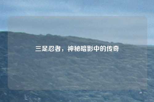 三足忍者，神秘暗影中的传奇