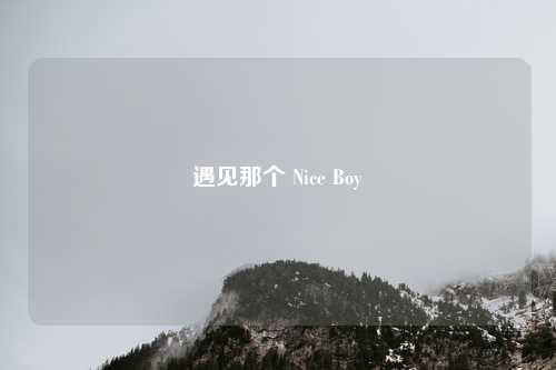 遇见那个 Nice Boy