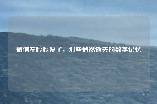 微信左哼哼没了,那些悄然逝去的数字记忆