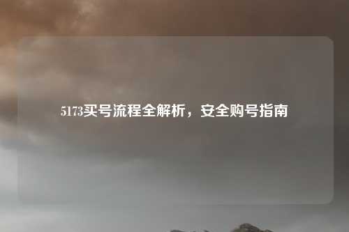 5173买号流程全解析，安全购号指南