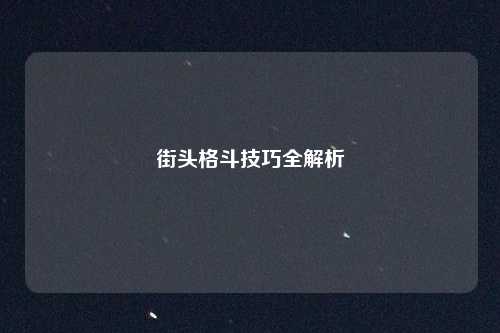 街头格斗技巧全解析