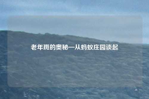 老年斑的奥秘—从蚂蚁庄园谈起