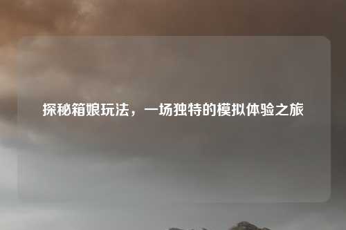 探秘箱娘玩法,一场独特的模拟体验之旅