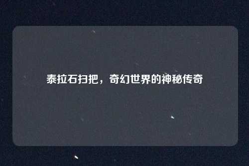 泰拉石扫把，奇幻世界的神秘传奇