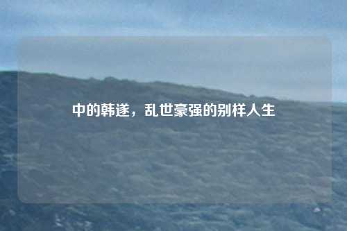 中的韩遂，乱世豪强的别样人生