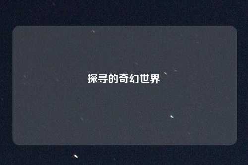 探寻的奇幻世界