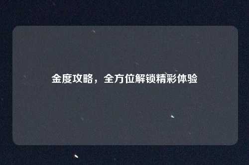 金度攻略，全方位解锁精彩体验