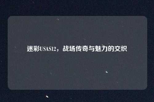 迷彩USAS12，战场传奇与魅力的交织