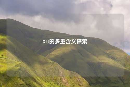 311的多重含义探索
