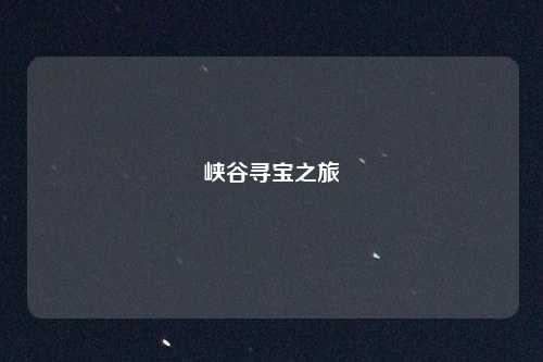 峡谷寻宝之旅
