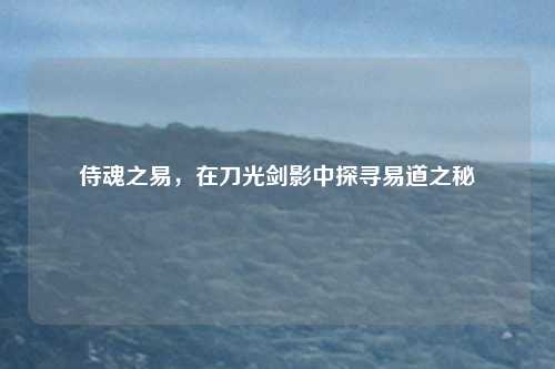 侍魂之易，在刀光剑影中探寻易道之秘