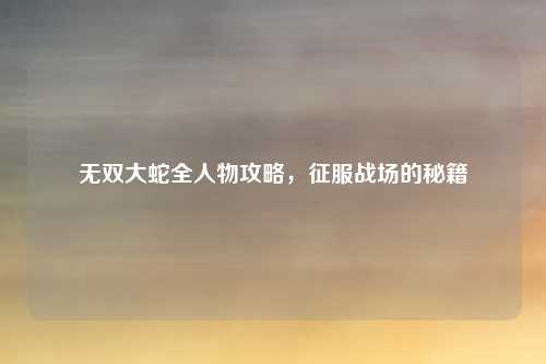 无双大蛇全人物攻略,征服战场的秘籍