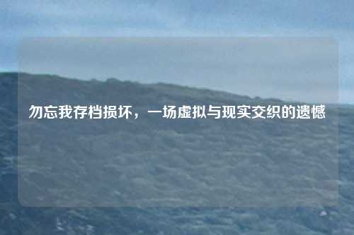 勿忘我存档损坏，一场虚拟与现实交织的遗憾