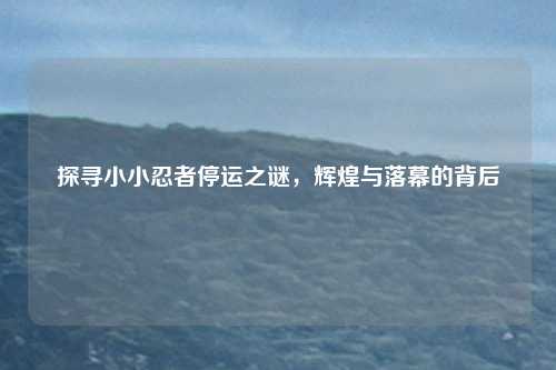 探寻小小忍者停运之谜，辉煌与落幕的背后