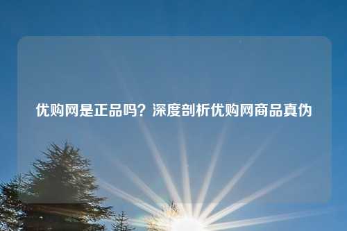 优购网是正品吗?深度剖析优购网商品真伪