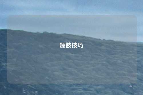 嫖妓技巧
