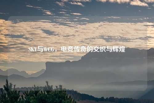 SKY与WCG,电竞传奇的交织与辉煌