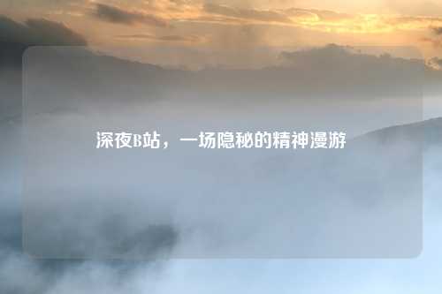 深夜B站，一场隐秘的精神漫游