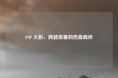 PSP 火影，跨越屏幕的热血羁绊
