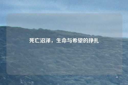 死亡沼泽,生命与希望的挣扎