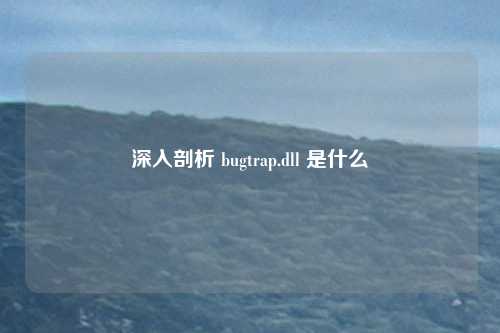 深入剖析 bugtrap.dll 是什么