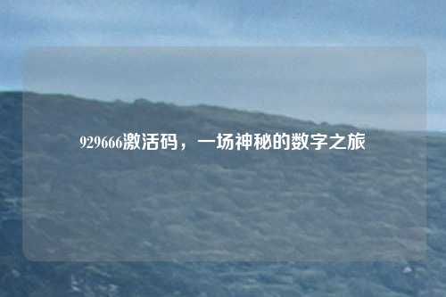 929666激活码,一场神秘的数字之旅