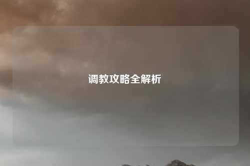 调教攻略全解析