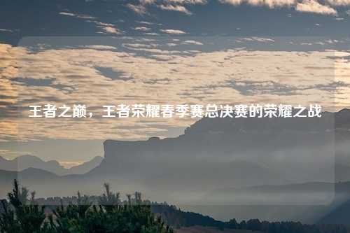 王者之巅，王者荣耀春季赛总决赛的荣耀之战
