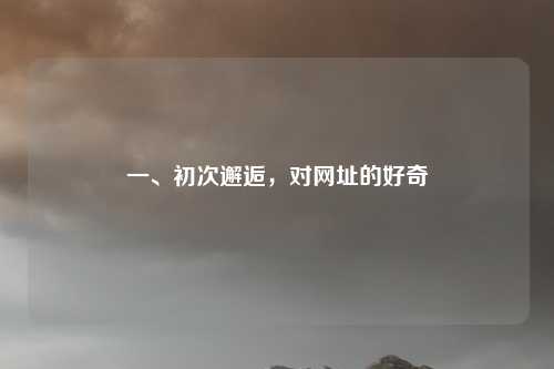一、初次邂逅，对网址的好奇