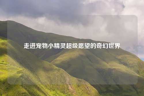 走进宠物小精灵超级愿望的奇幻世界