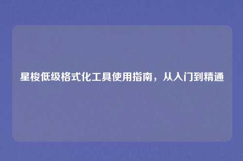 星梭低级格式化工具使用指南，从入门到精通