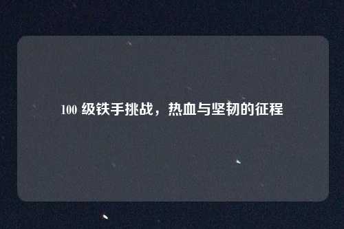 100 级铁手挑战,热血与坚韧的征程