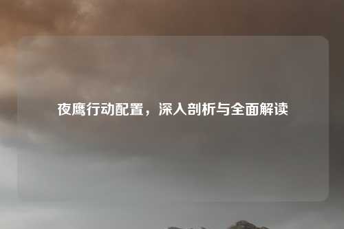 夜鹰行动配置,深入剖析与全面解读