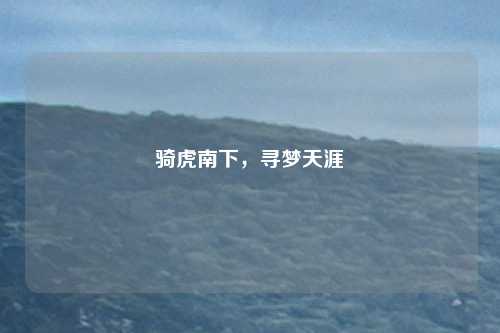 骑虎南下,寻梦天涯