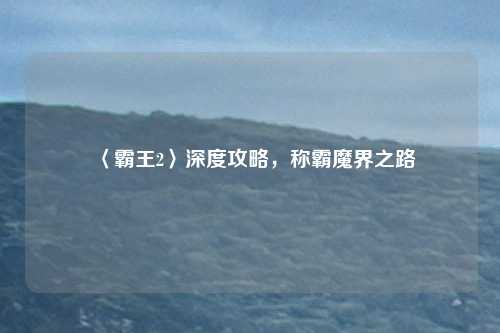 〈霸王2〉深度攻略,称霸魔界之路